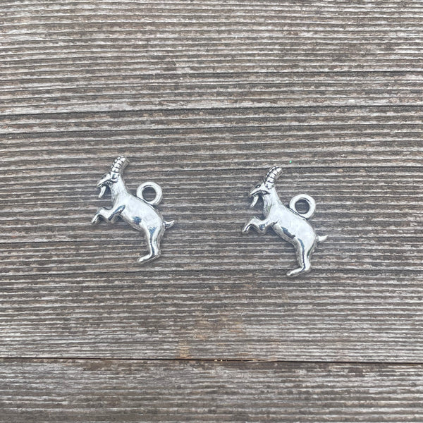 Simple Charm Earrings