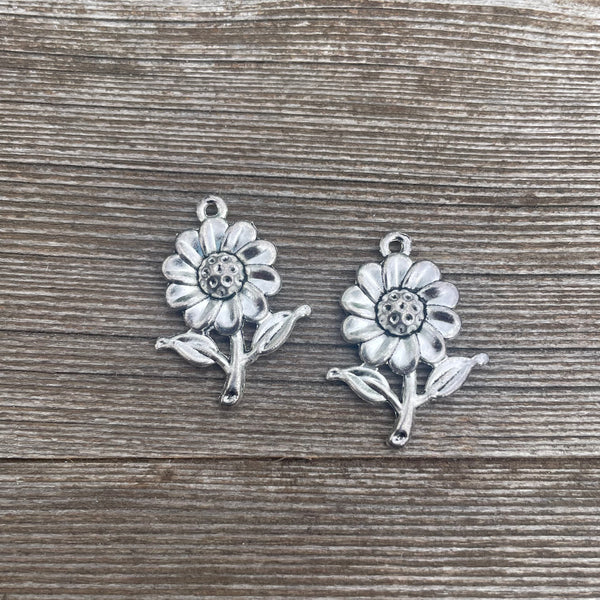 Simple Charm Earrings