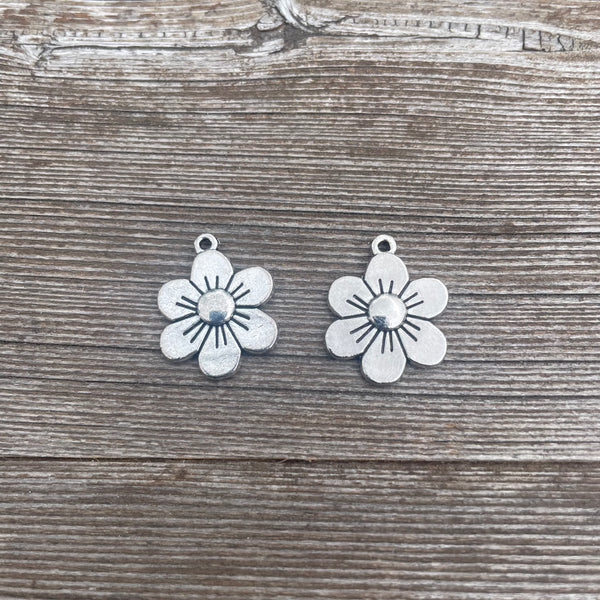 Simple Charm Earrings